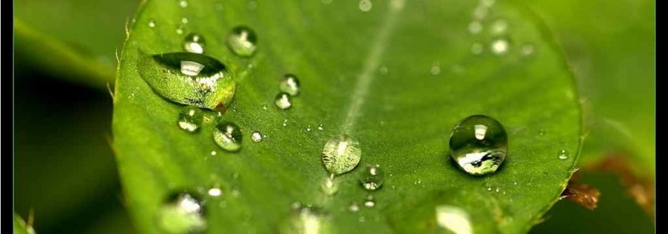waterdrops waterdrops