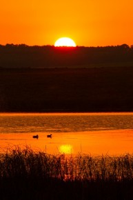 Sunset  at a dam close to the planned coal mine of WPB.  Photo: Franz Fuls 